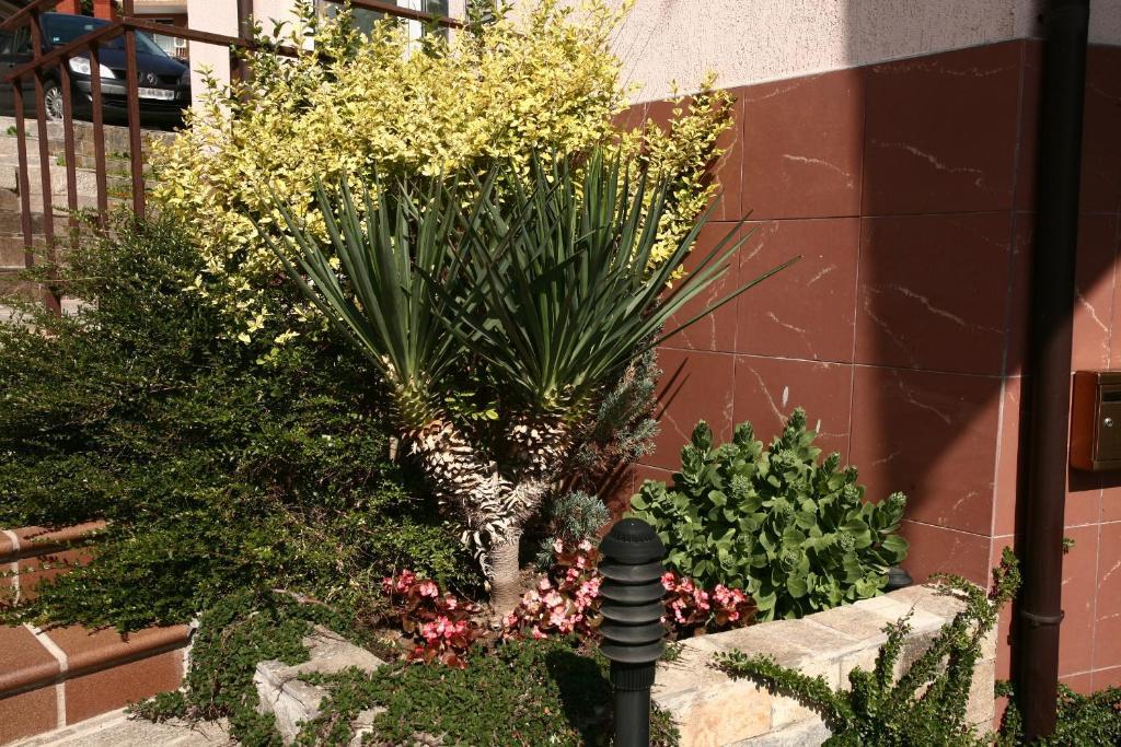 Fjord B&B Sozopol Eksteriør bilde